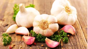 The biowarfare Tick epidemic solution for Pets and “People” – GARLIC